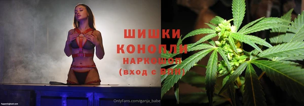 ГАЛЛЮЦИНОГЕННЫЕ ГРИБЫ Алзамай