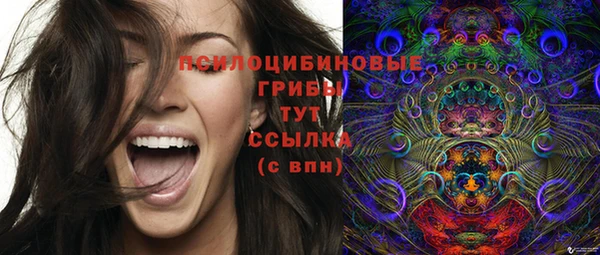 ГАЛЛЮЦИНОГЕННЫЕ ГРИБЫ Алзамай